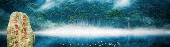 1676508589517038.gif